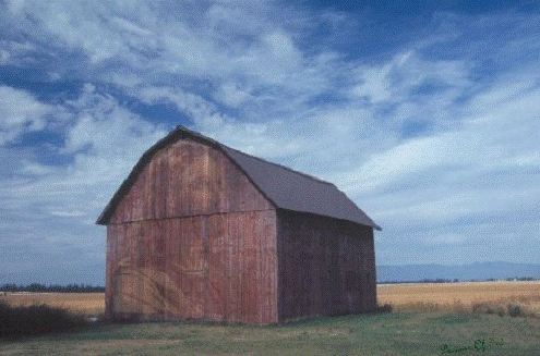 Jesus Barn